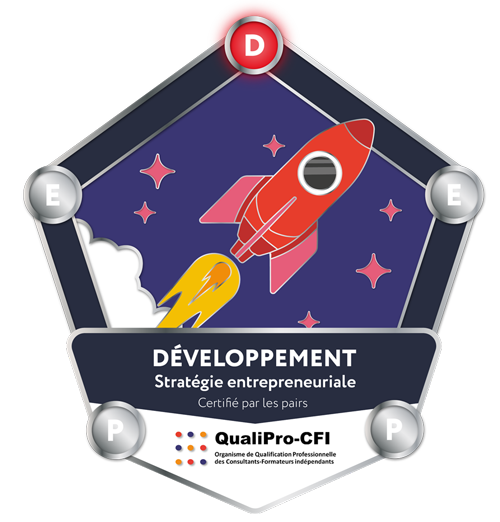 Badge Qualification professionnelle QualiPro-CFI