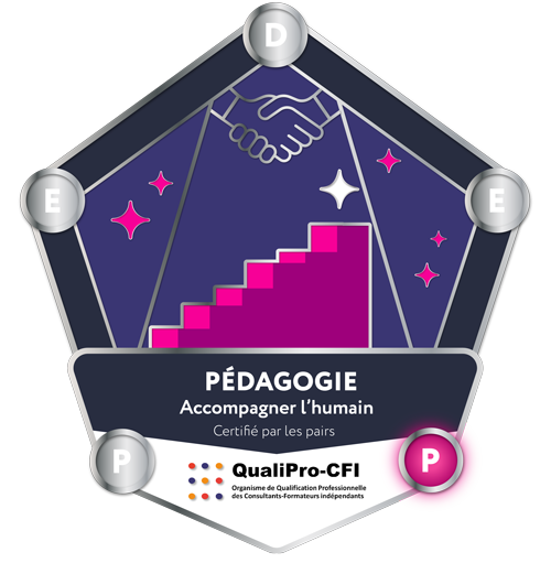Badge Qualification professionnelle QualiPro-CFI